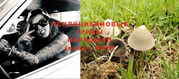 мдпв Бородино