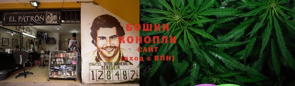 МДПВ Бронницы
