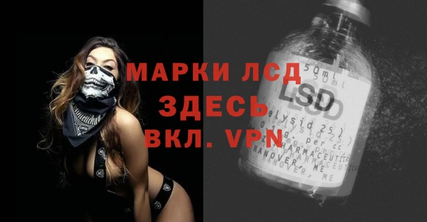 мдпв Бородино
