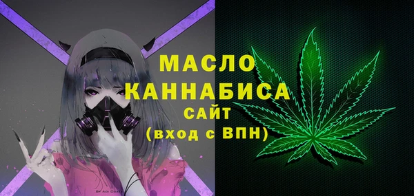 индика Воткинск