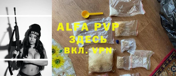мдпв Бородино