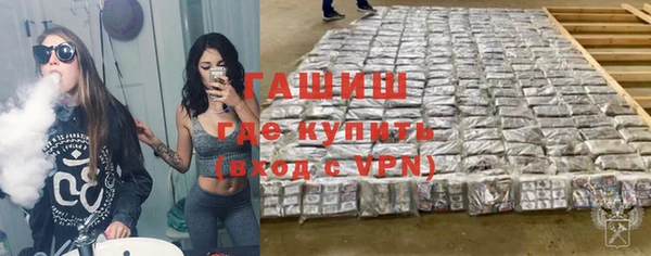 мдпв Бородино