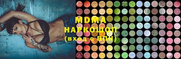 мдпв Бородино