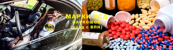 индика Воткинск