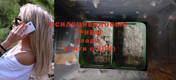 МДПВ Бронницы