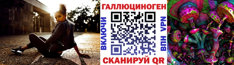 как найти закладки  Волосово  дарк нет Telegram  Галлюциногенные грибы GOLDEN TEACHER 